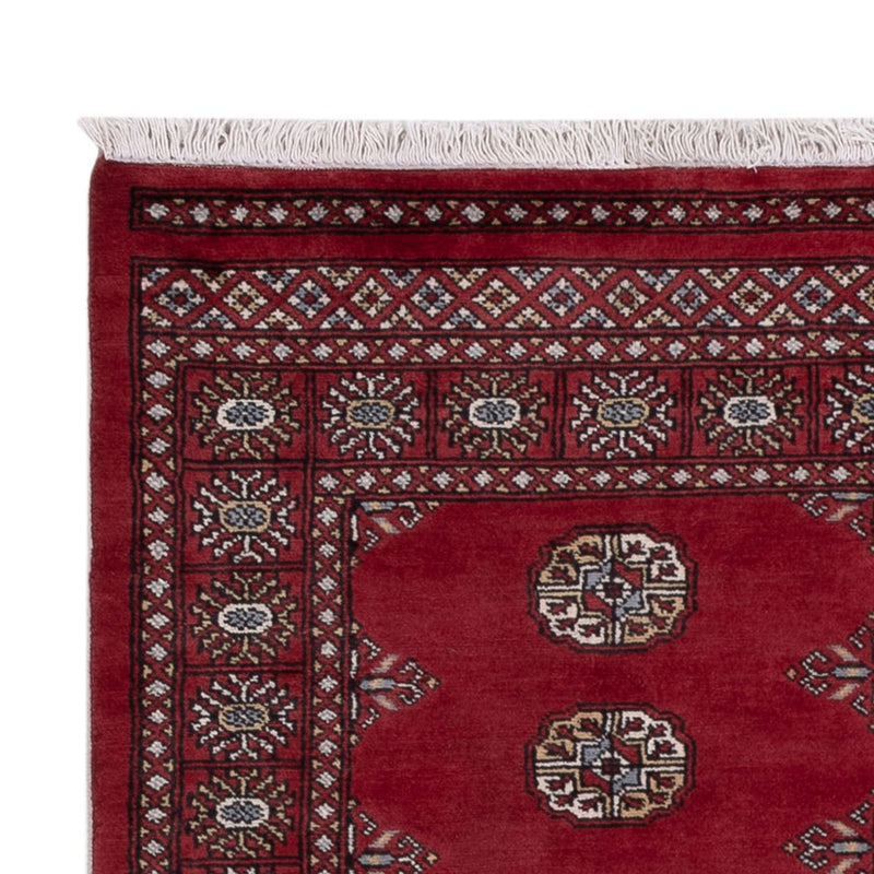 Pakistan teppe 174x126cm - Orientalsk teppe