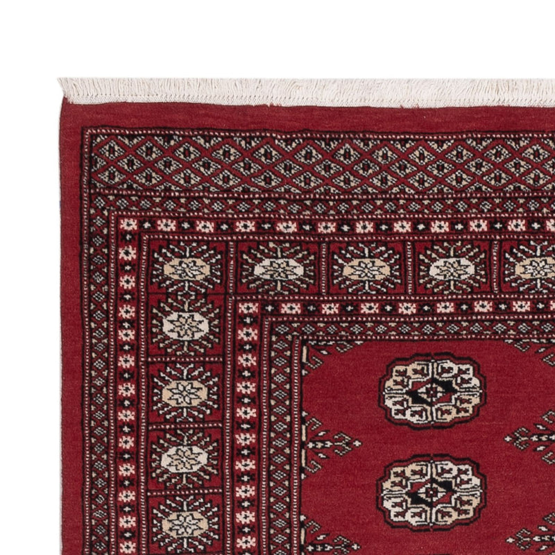 Pakistan teppe 179x135cm - Orientalsk teppe