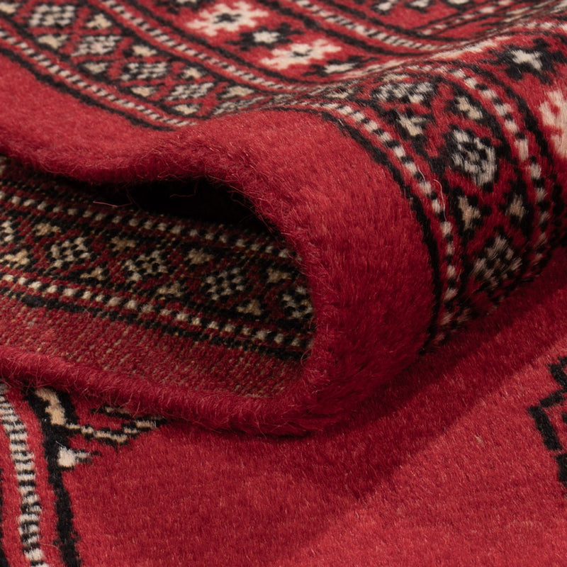 Pakistan teppe 179x135cm - Orientalsk teppe