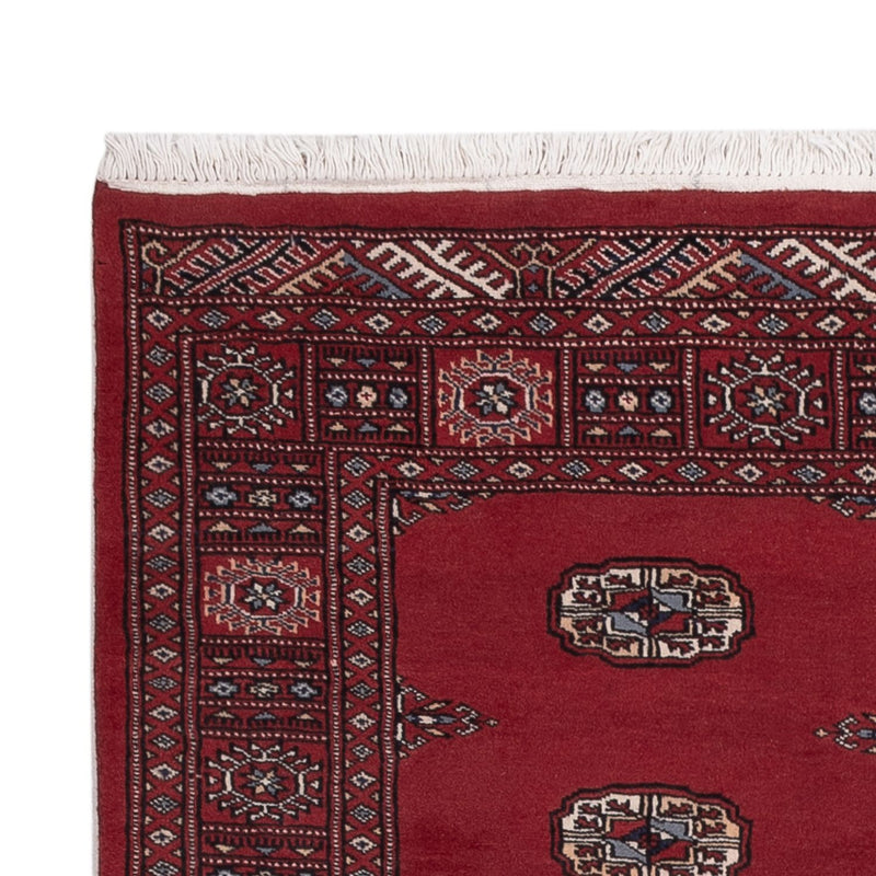 Pakistan teppe 128x170cm - Orientalsk teppe