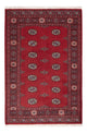 Pakistan teppe 184x126cm - Orientalsk teppe