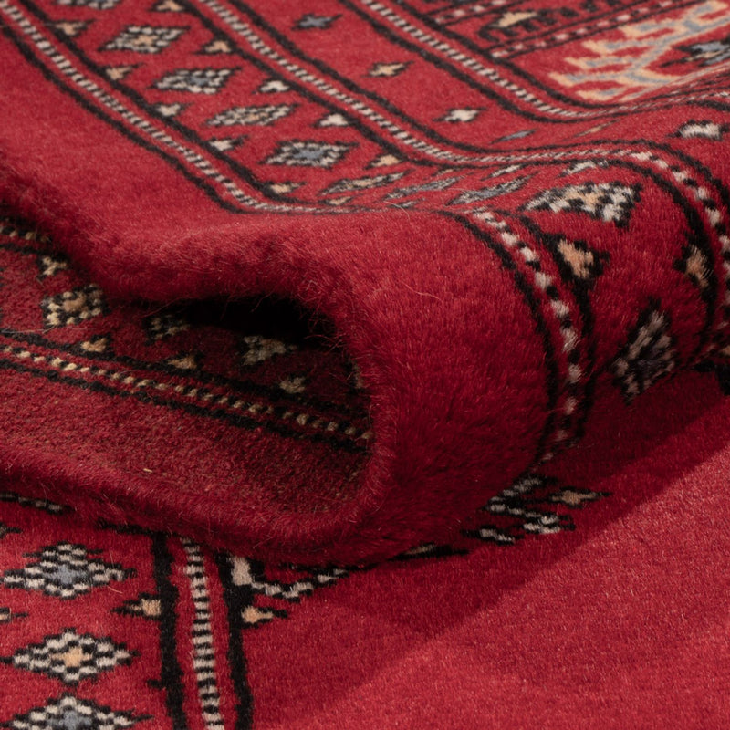 Pakistan teppe 179x139cm - Orientalsk teppe