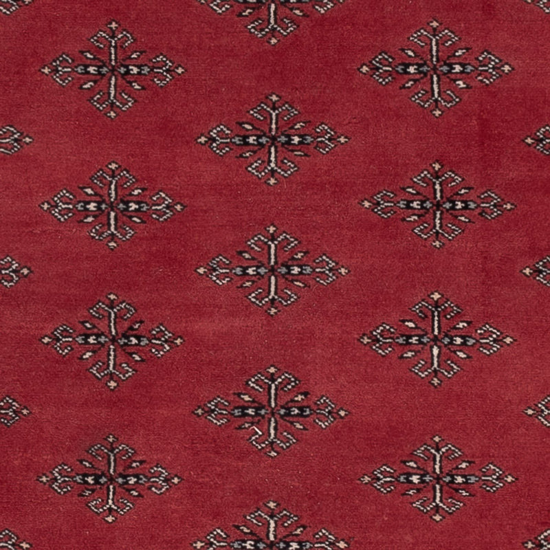Pakistan teppe 183x124cm - Orientalsk teppe