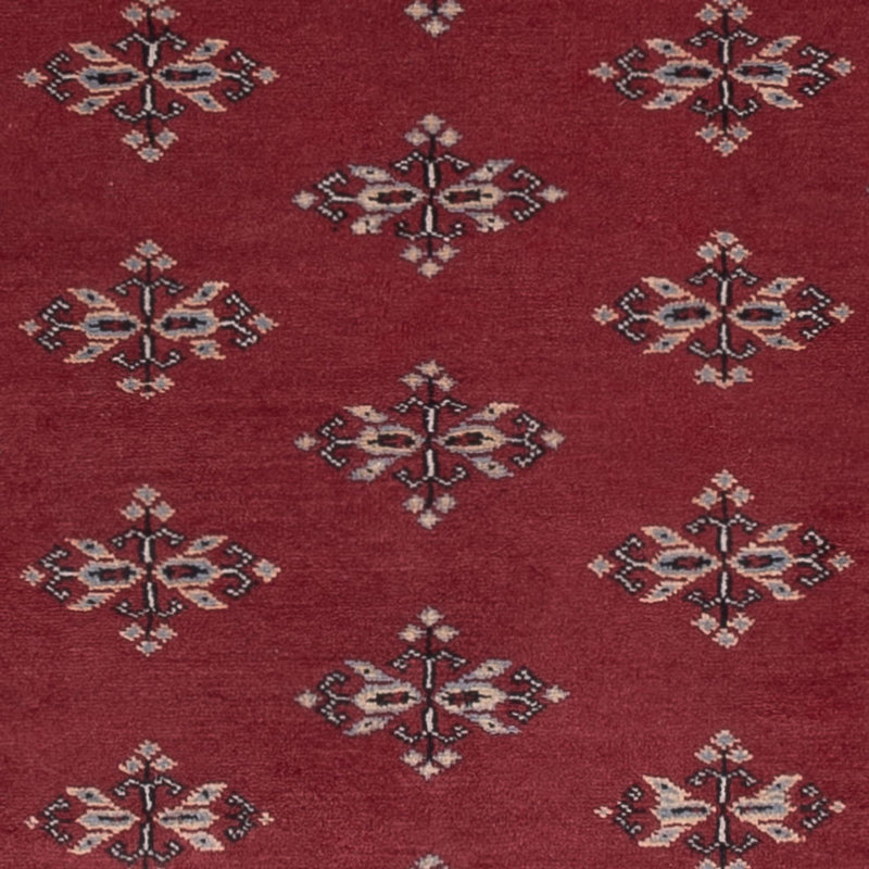Pakistan teppe 174x126cm - Orientalsk teppe