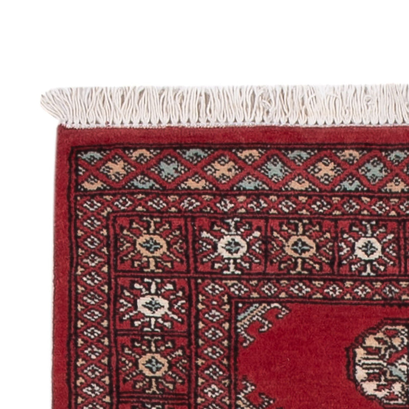 Pakistan teppe 304x77cm - Orientalsk teppe