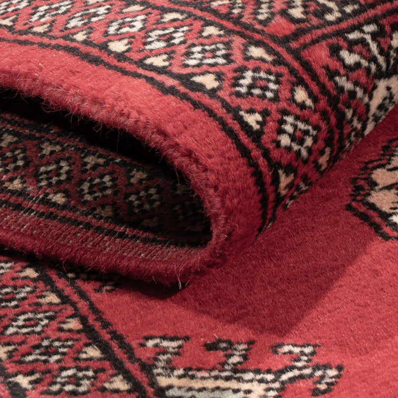 Pakistan teppe 304x77cm - Orientalsk teppe