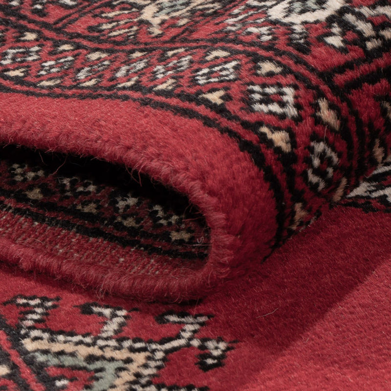 Pakistan teppe 307x77cm - Orientalsk teppe