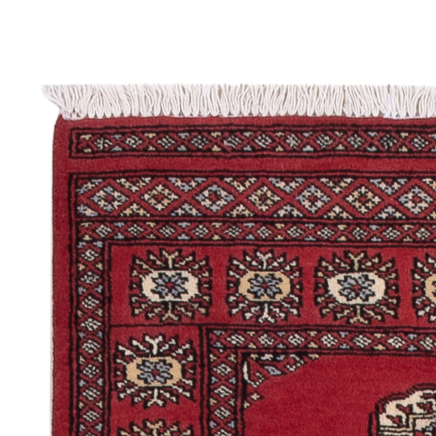 Pakistan teppe 272x80cm - Orientalsk teppe