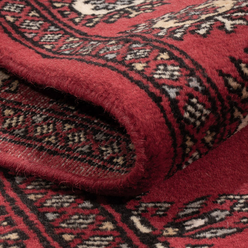 Pakistan teppe 272x80cm - Orientalsk teppe