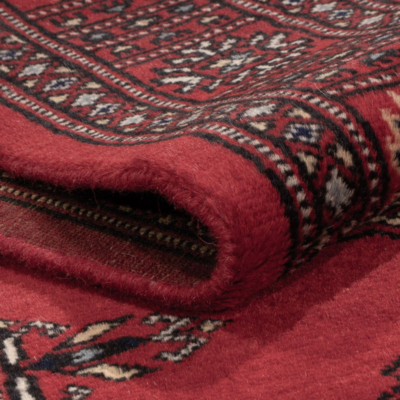 Pakistan teppe 77x331cm - Orientalsk teppe
