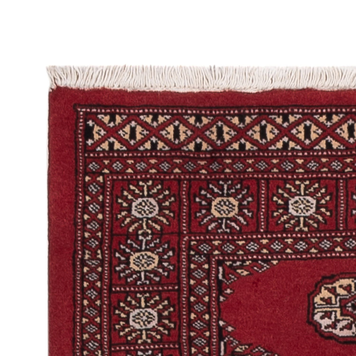 Pakistan teppe 79x286cm - Orientalsk teppe