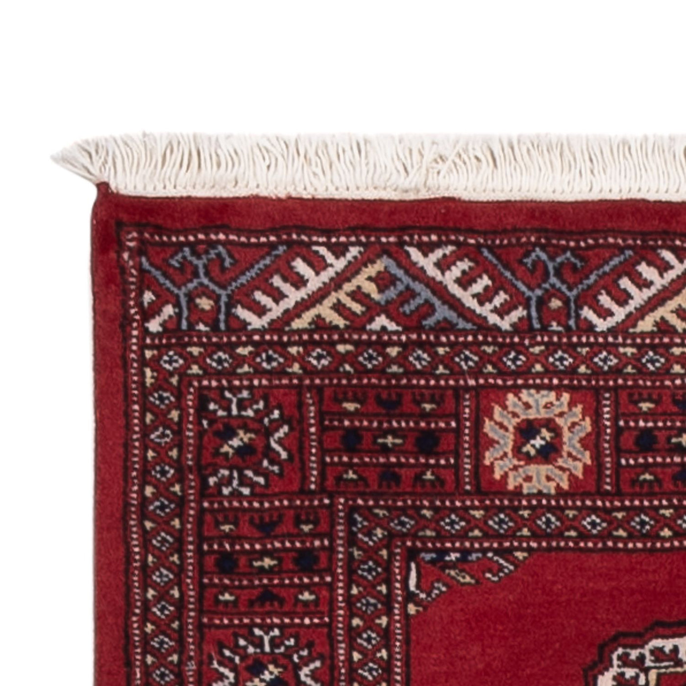 Pakistan teppe 301x79cm - Orientalsk teppe