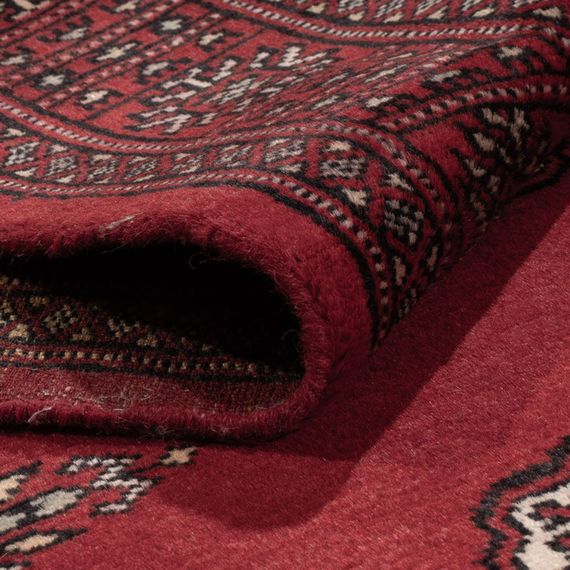 Pakistan teppe 311x78cm - Orientalsk teppe