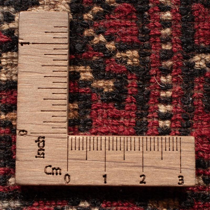 Pakistan teppe 289x78cm - Orientalsk teppe