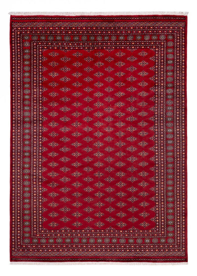 Bukhara Teppe 253x350cm - Orientalsk teppe