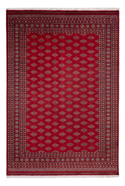 Bukhara Teppe 249x365cm - Orientalsk teppe