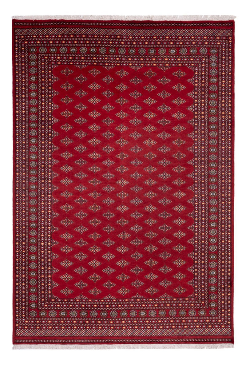 Bukhara Teppe 249x365cm - Orientalsk teppe