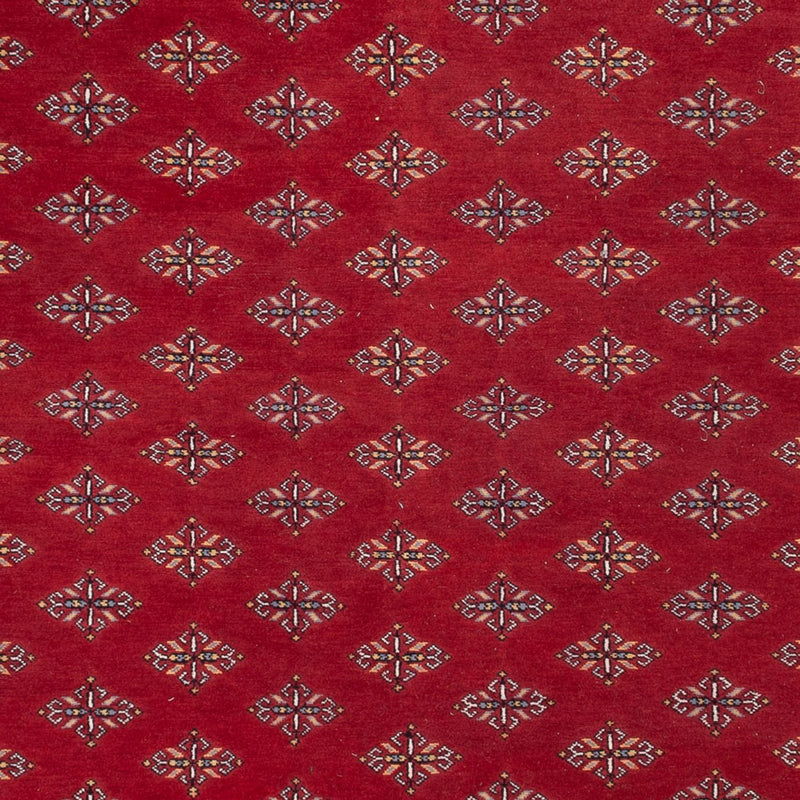 Bukhara Teppe 249x365cm - Orientalsk teppe