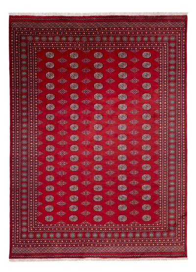 Bukhara Teppe 277x380cm - Orientalsk teppe