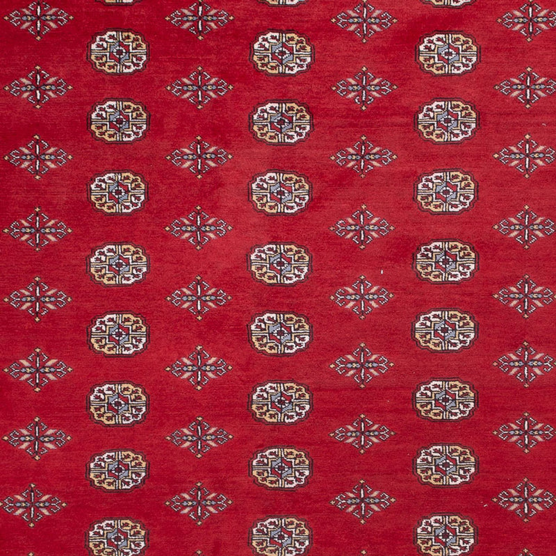 Bukhara Teppe 380x277cm - Orientalsk teppe