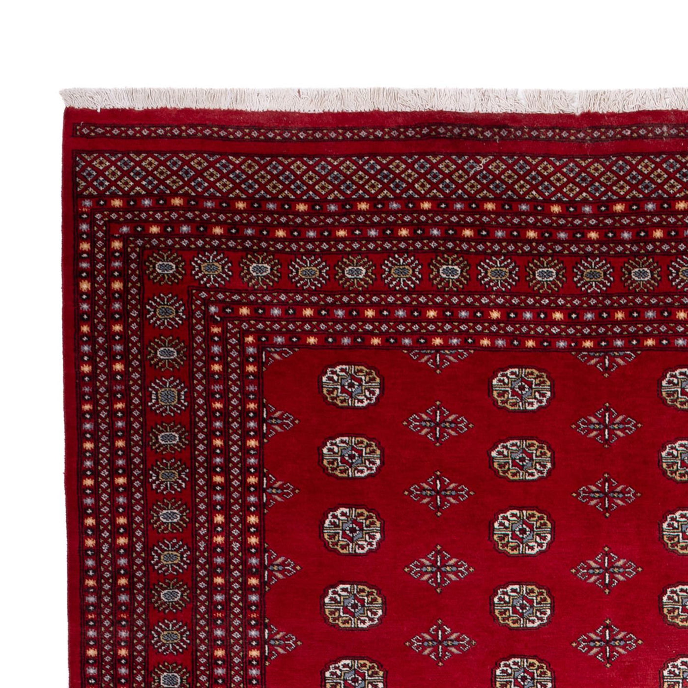 Bukhara Teppe 380x277cm - Orientalsk teppe