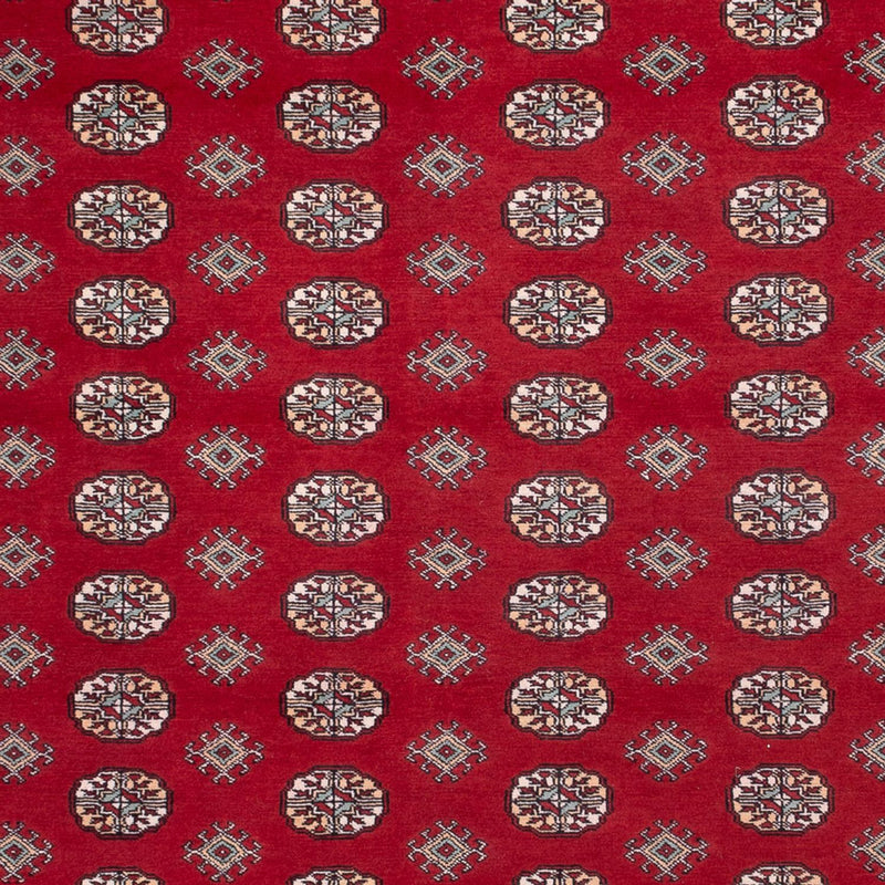 Bukhara Teppe 362x278cm - Orientalsk teppe