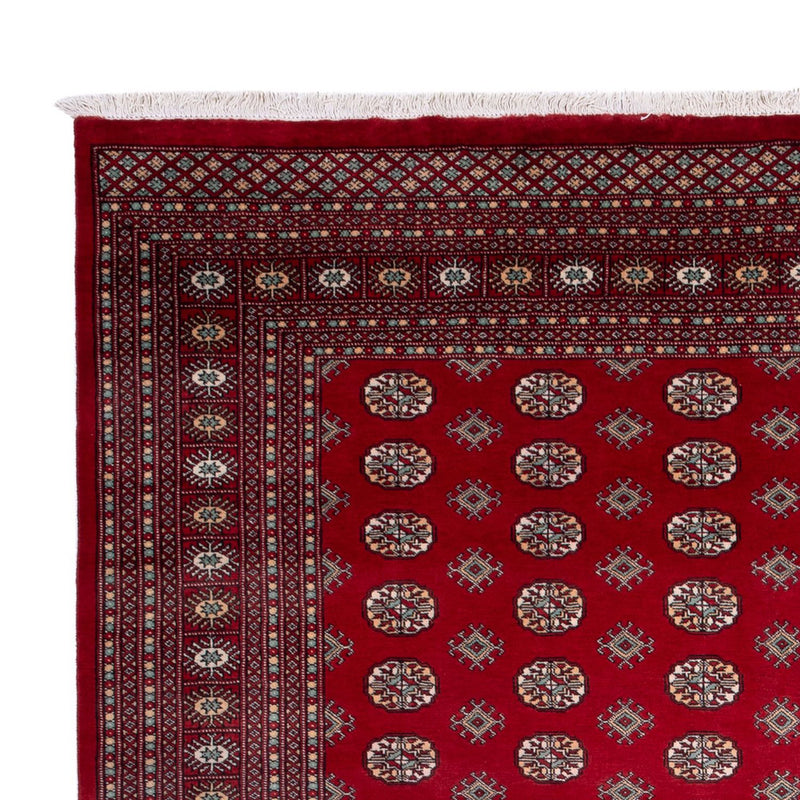Bukhara Teppe 362x278cm - Orientalsk teppe