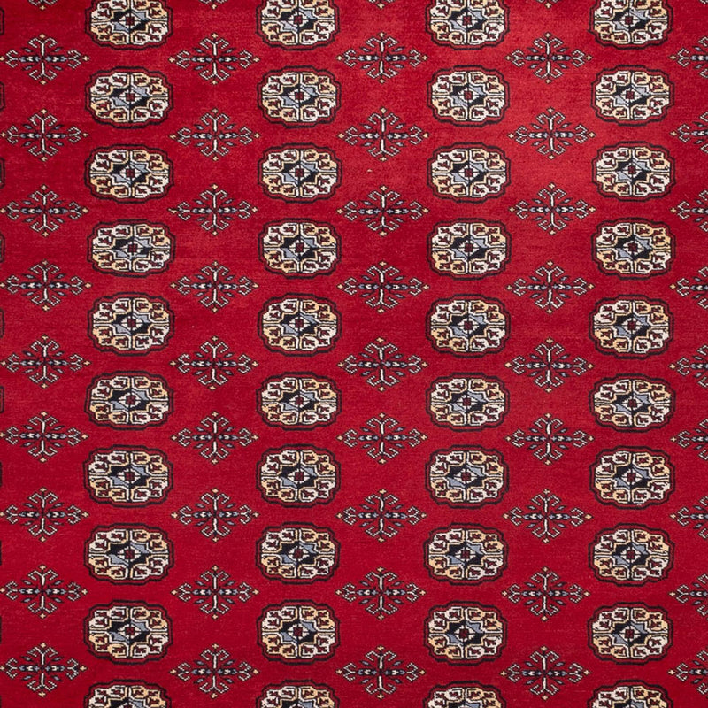 Bukhara Teppe 363x280cm - Orientalsk teppe