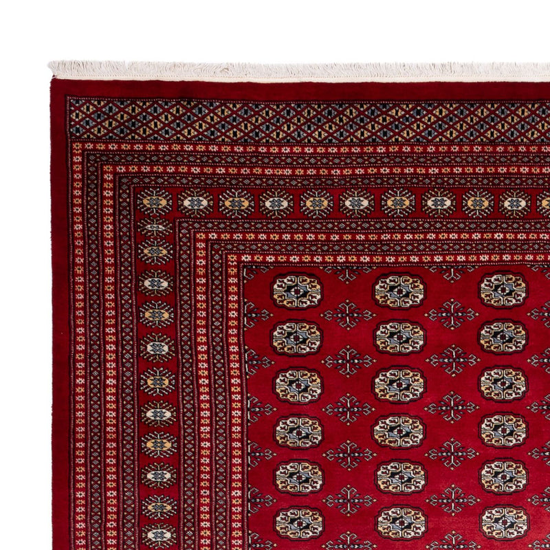 Bukhara Teppe 363x280cm - Orientalsk teppe