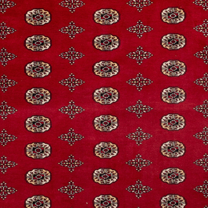 Bukhara Teppe 276x387cm - Orientalsk teppe