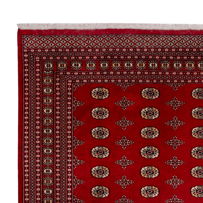 Bukhara Teppe 276x387cm - Orientalsk teppe