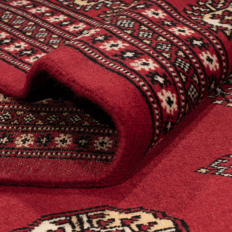 Bukhara Teppe 276x387cm - Orientalsk teppe
