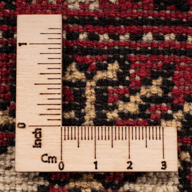 Bukhara Teppe 276x387cm - Orientalsk teppe