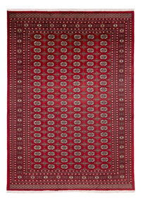 Bukhara Teppe 346x241cm - Orientalsk teppe – product image