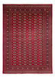 Bukhara Teppe 346x241cm - Orientalsk teppe