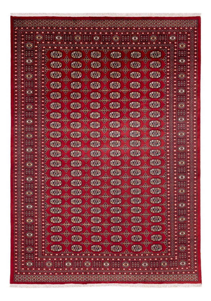 Bukhara Teppe 346x241cm - Orientalsk teppe