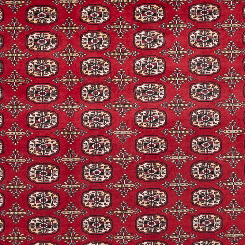 Bukhara Teppe 346x241cm - Orientalsk teppe