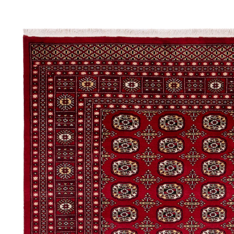 Bukhara Teppe 346x241cm - Orientalsk teppe
