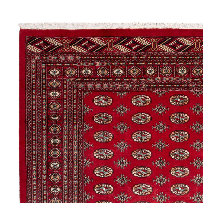 Bukhara Teppe 354x275cm - Orientalsk teppe