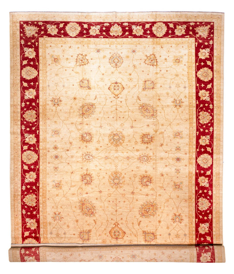 Ziegler Teppe 584x394cm - Orientalsk teppe