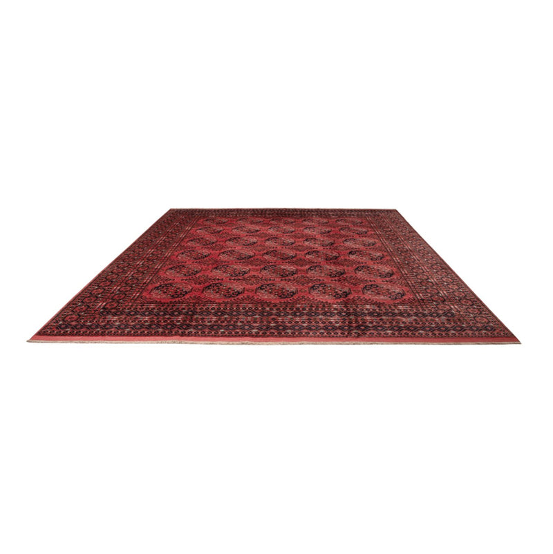 Bukhara Teppe 404x351cm - Orientalsk teppe