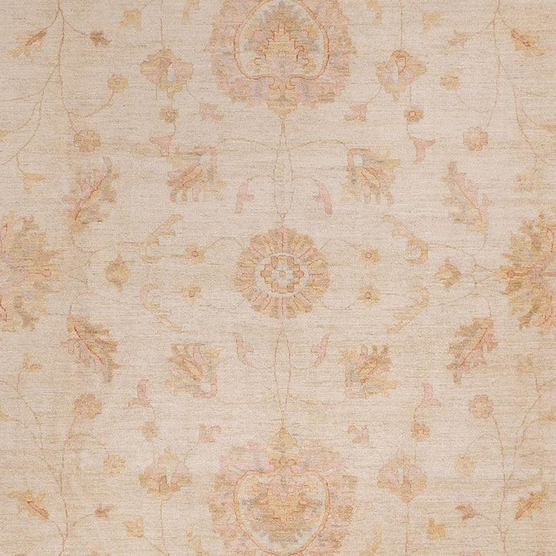 Ziegler Teppe 490x357cm - Orientalsk teppe