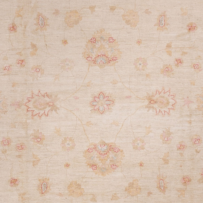 Ziegler Teppe 538x350cm - Orientalsk teppe