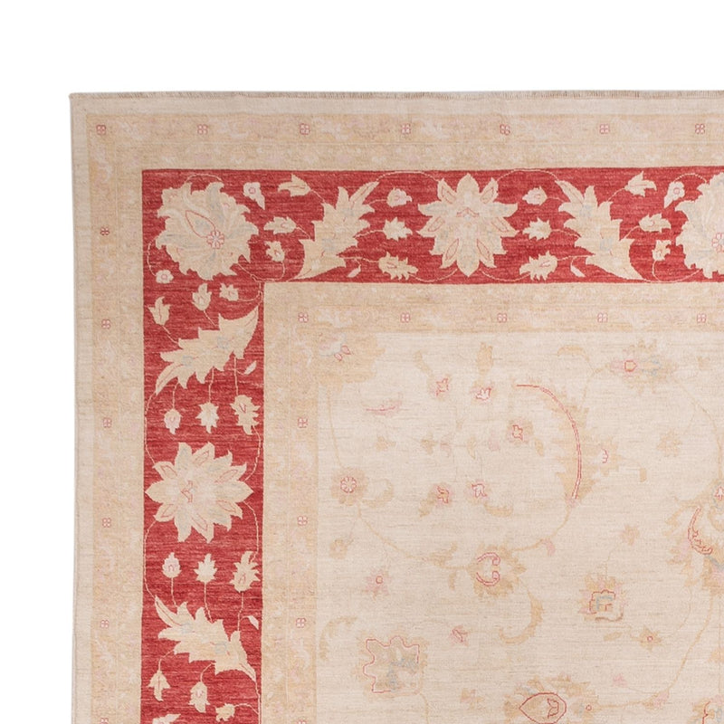 Ziegler Teppe 538x350cm - Orientalsk teppe