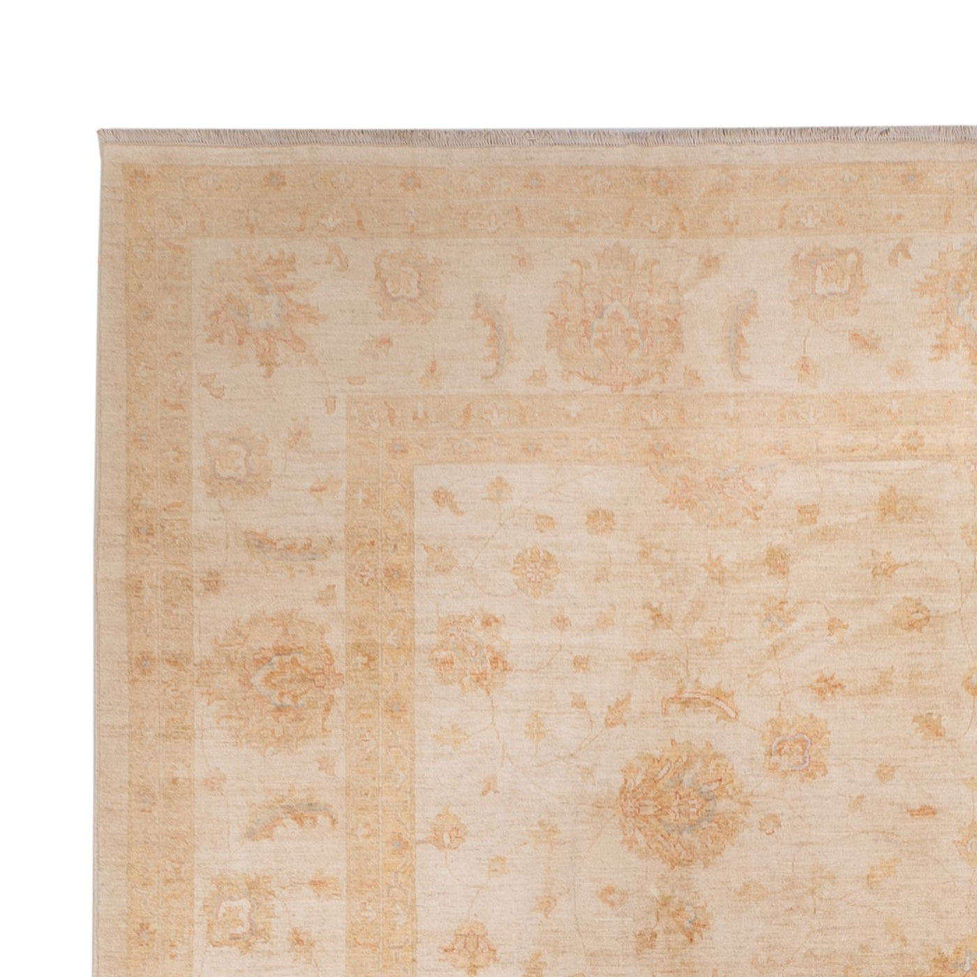 Ziegler Teppe 541x348cm - Orientalsk teppe