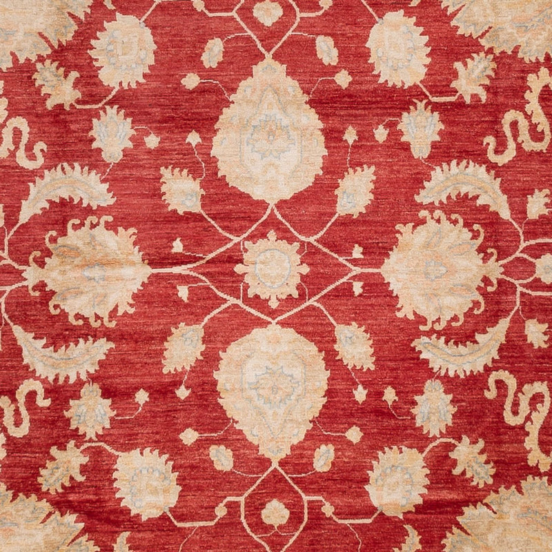 Ziegler Teppe 540x352cm - Orientalsk teppe