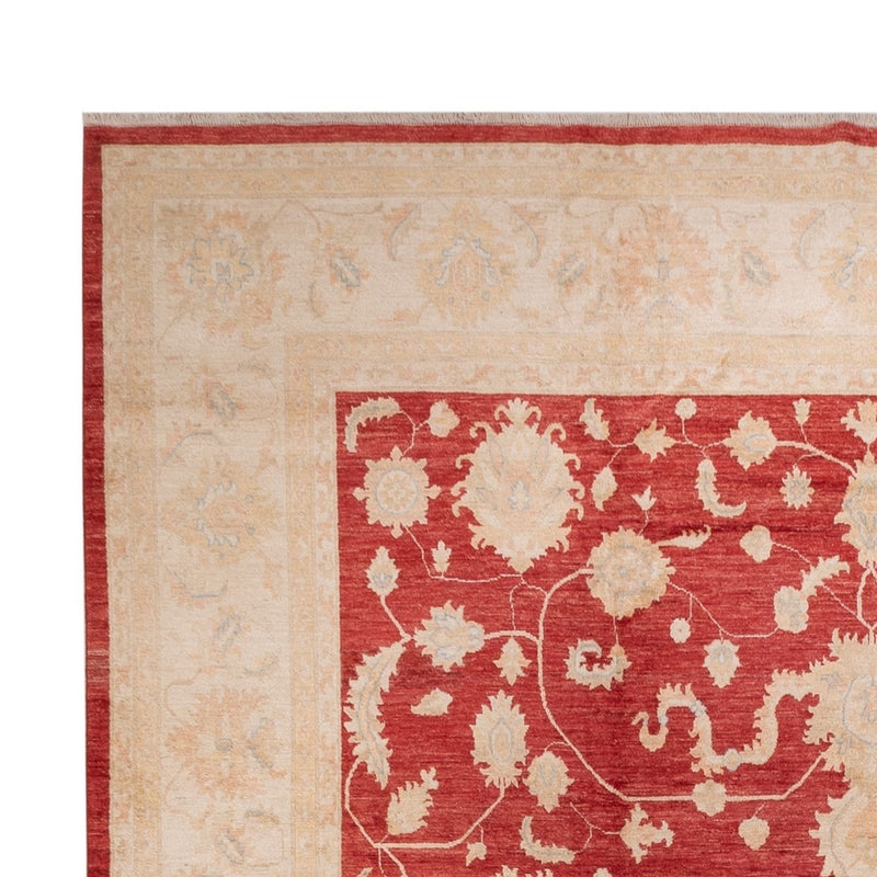 Ziegler Teppe 540x352cm - Orientalsk teppe