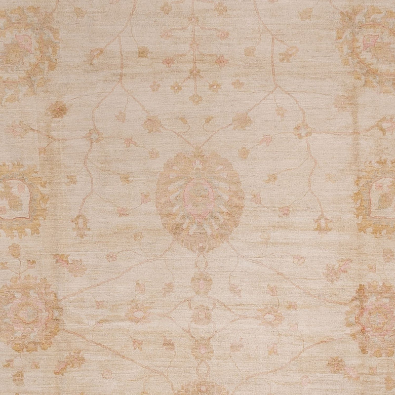 Ziegler Teppe 543x350cm - Orientalsk teppe