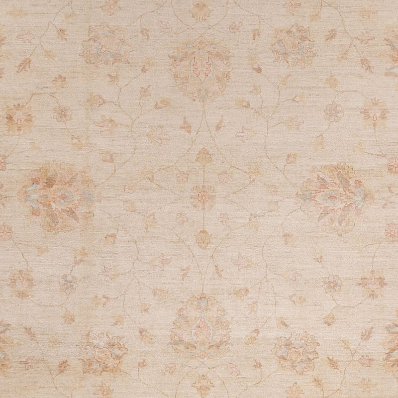 Ziegler Teppe 487x301cm - Orientalsk teppe