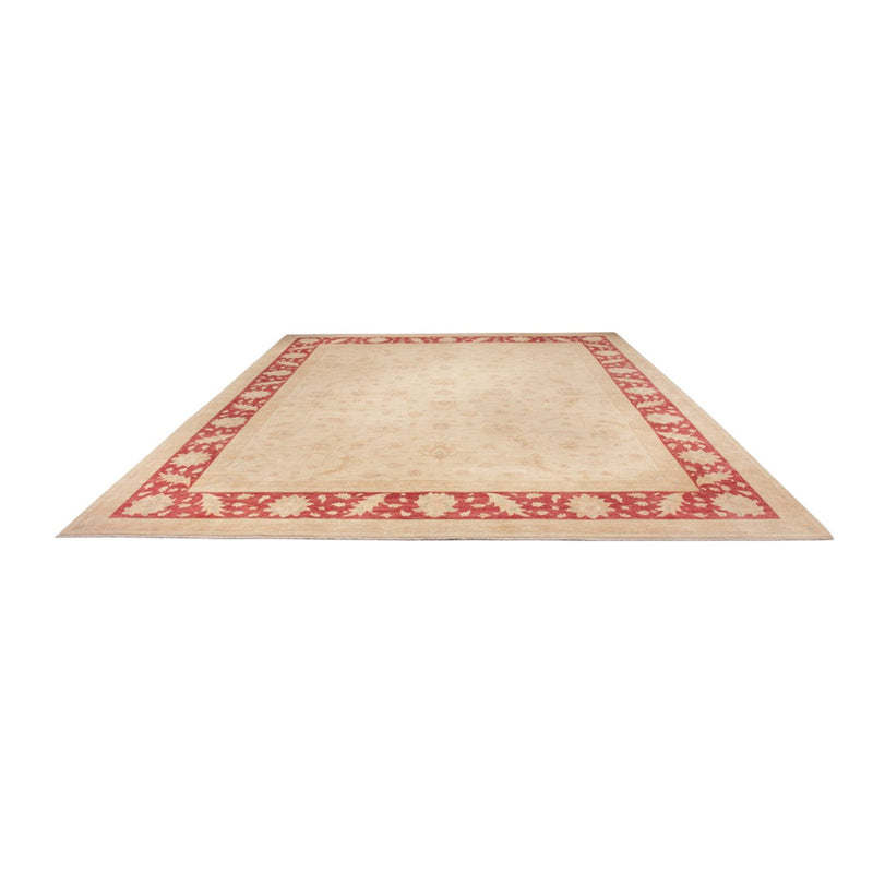 Ziegler Teppe 488x398cm - Orientalsk teppe